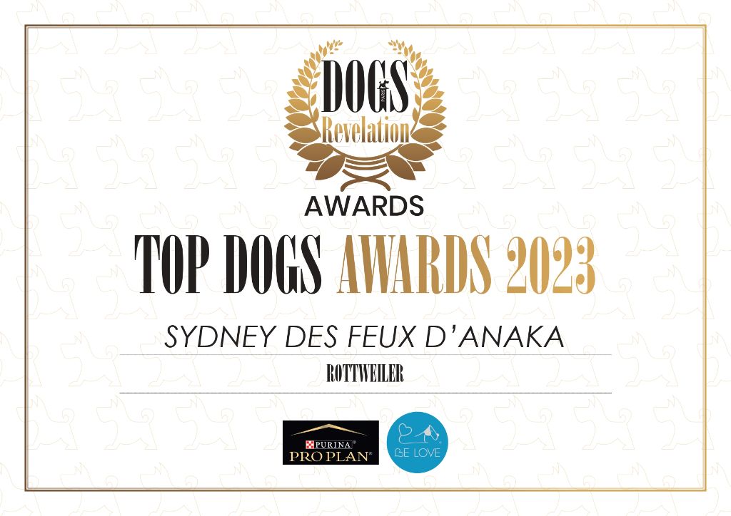 Des Feux D'Anaka - Sydney de feux d'Anaka Meilleur rottweiler de France 2023